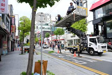 24년 하반기 가로수 정비사업 격려 방문